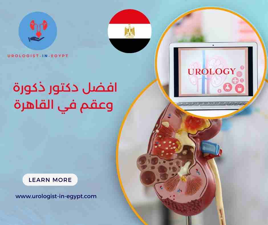 افضل دكتور ذكورة وعقم في القاهرة