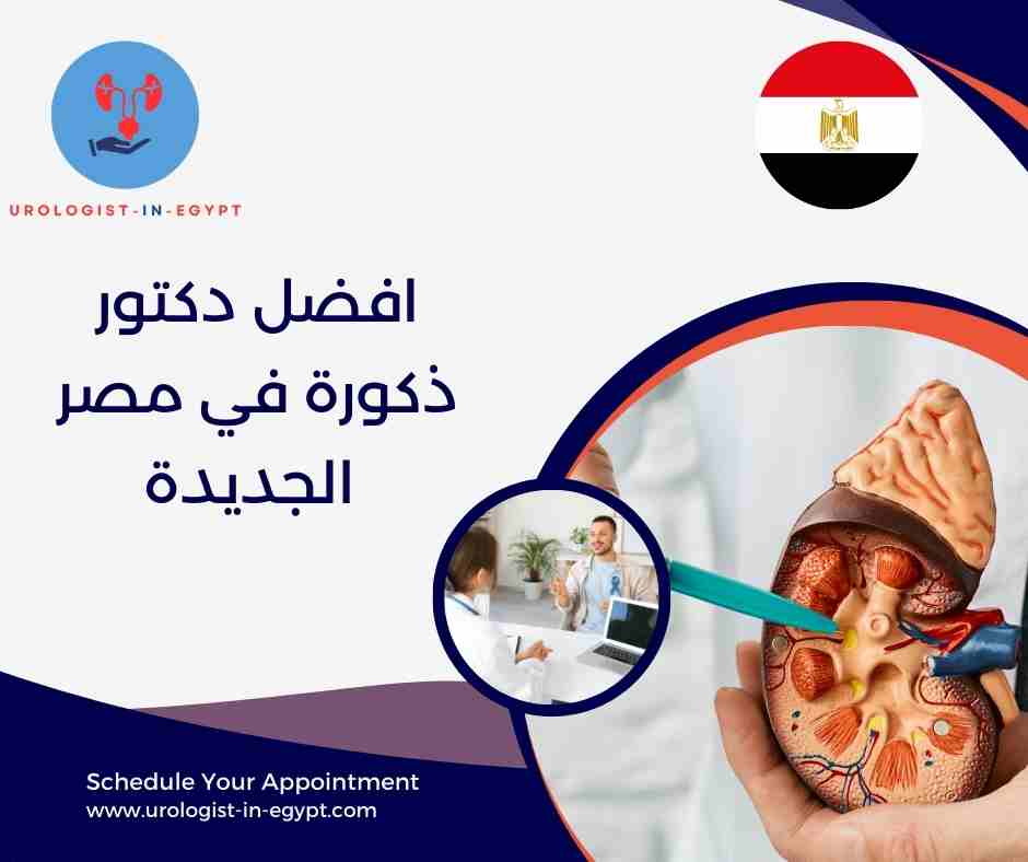 افضل دكتور ذكورة في مصر الجديدة