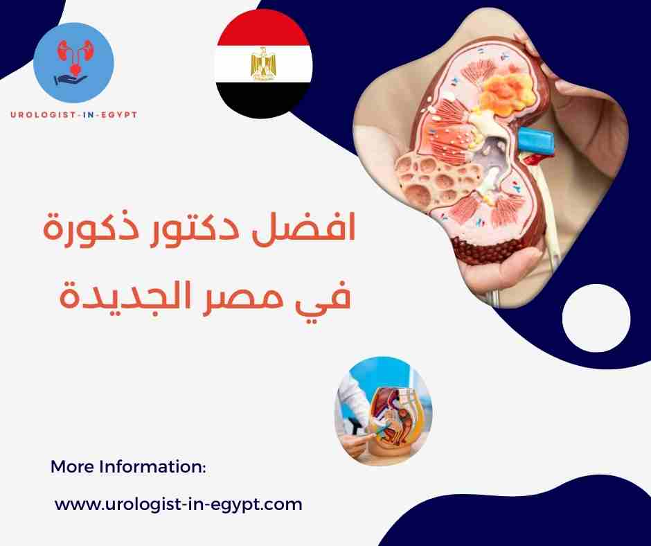 افضل دكتور ذكورة في مصر الجديدة