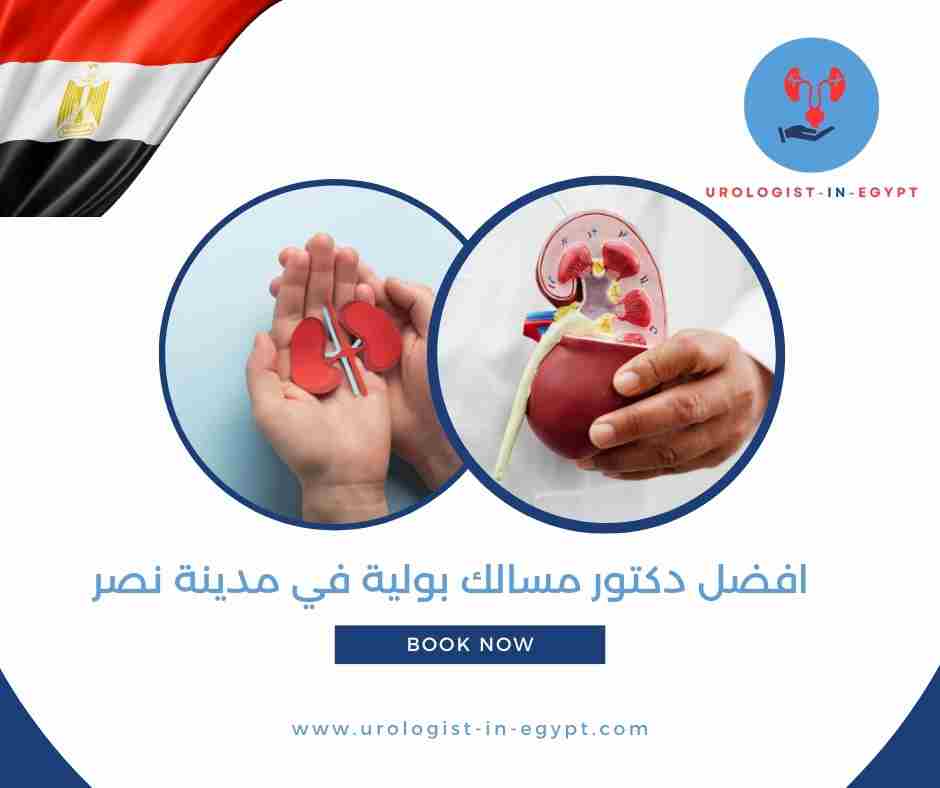 افضل دكتور مسالك بولية في مدينة نصر