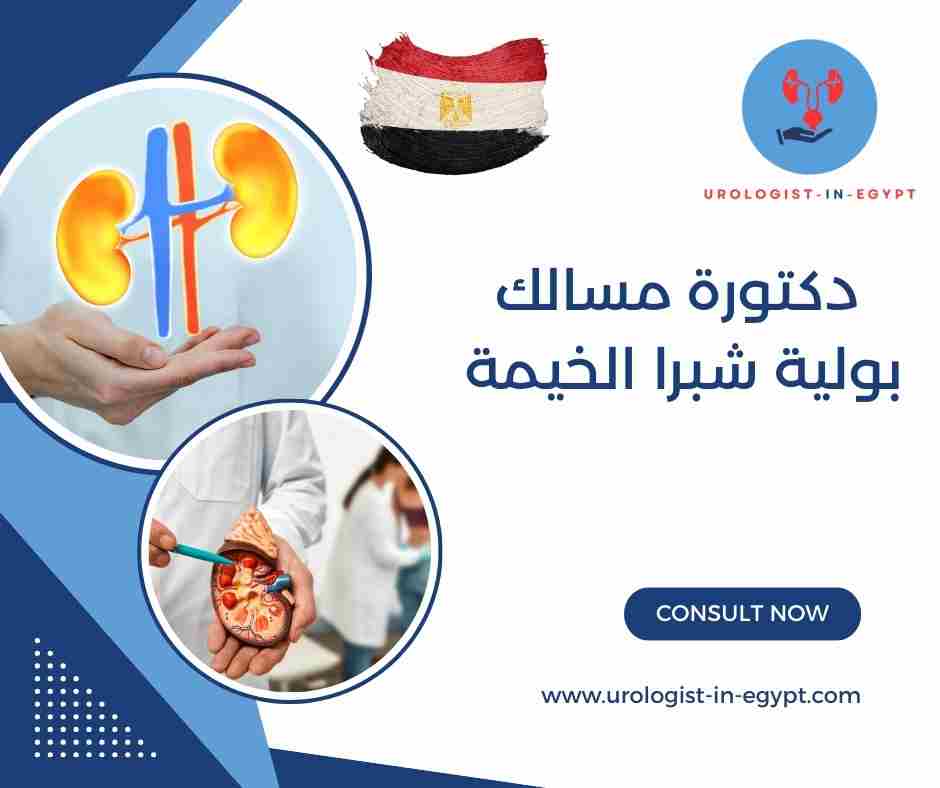 دكتورة مسالك بولية نساء شبرا الخيمة