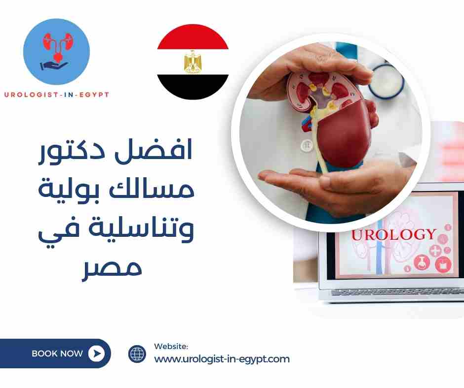 افضل دكتور مسالك بولية وتناسلية في مصر افضل دكتور مسالك بولية وتناسلية في مصر