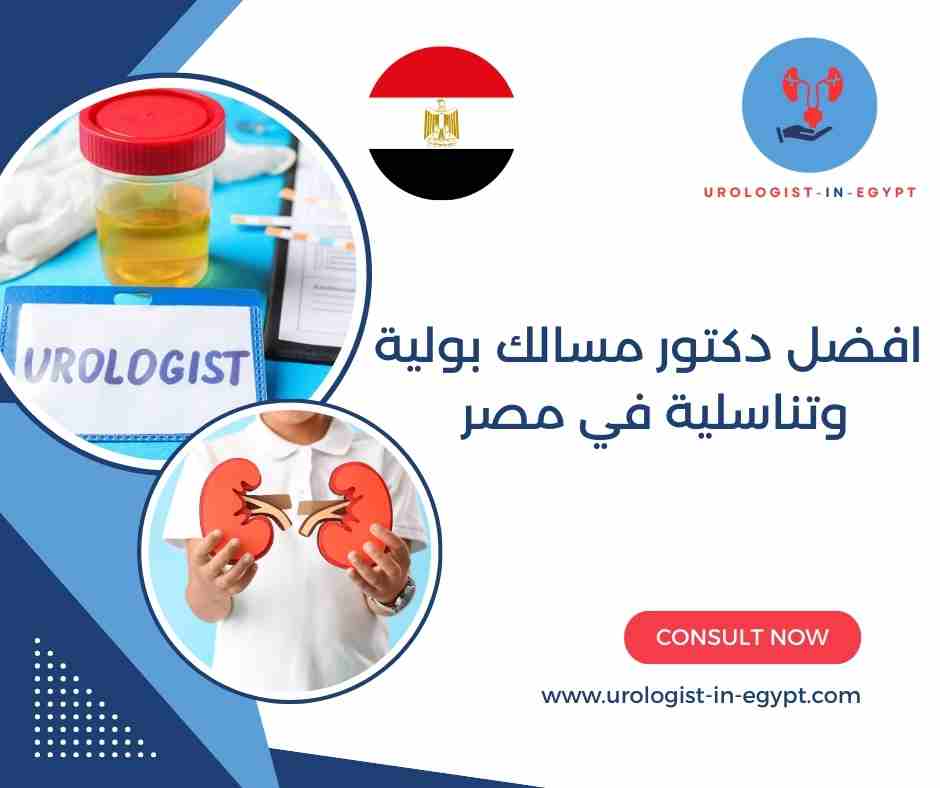 افضل دكتور مسالك بولية وتناسلية في مصر افضل دكتور مسالك بولية وتناسلية في مصر