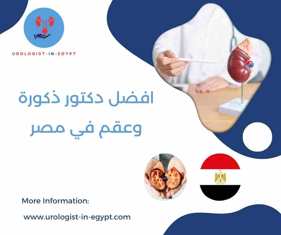 افضل دكتور ذكورة وعقم في مصر