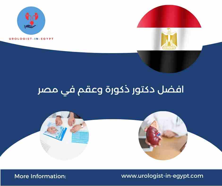 افضل دكتور ذكورة وعقم في مصر افضل دكتور ذكورة وعقم في مصر