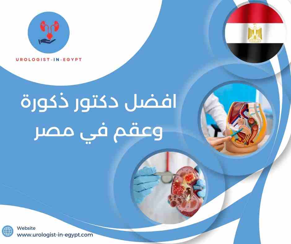 افضل دكتور ذكورة وعقم في القاهرة افضل دكتور ذكورة وعقم في القاهرة