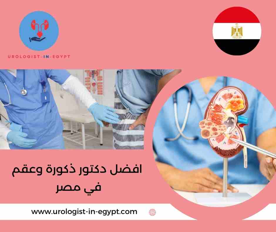 افضل دكتور ذكورة في مصر الجديدة افضل دكتور ذكورة في مصر الجديدة