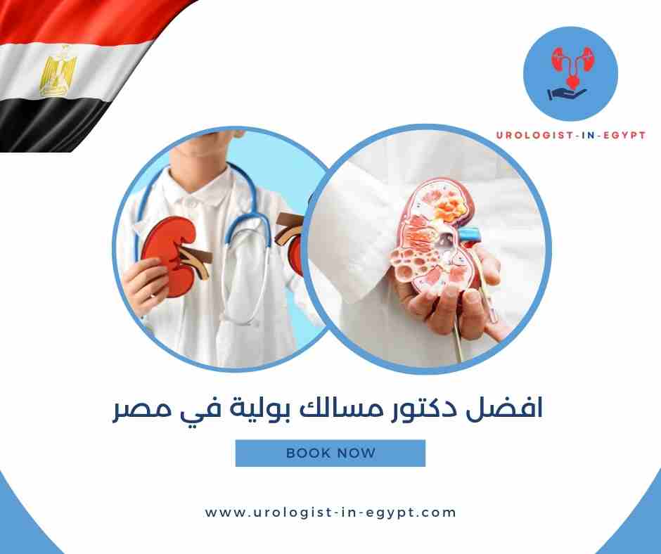 افضل دكتور مسالك بولية في مصر