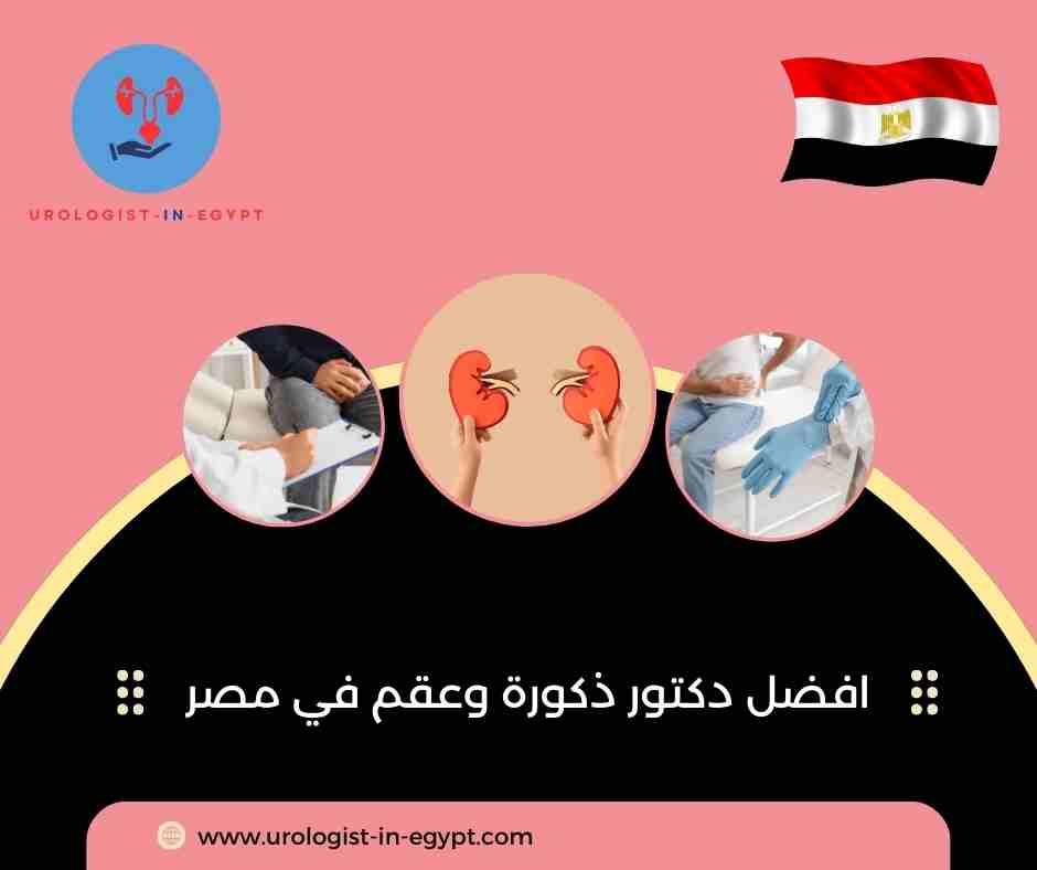 أفضل دكتور ذكورة وعقم في مصر افضل دكتور ذكورة وعقم في مصر