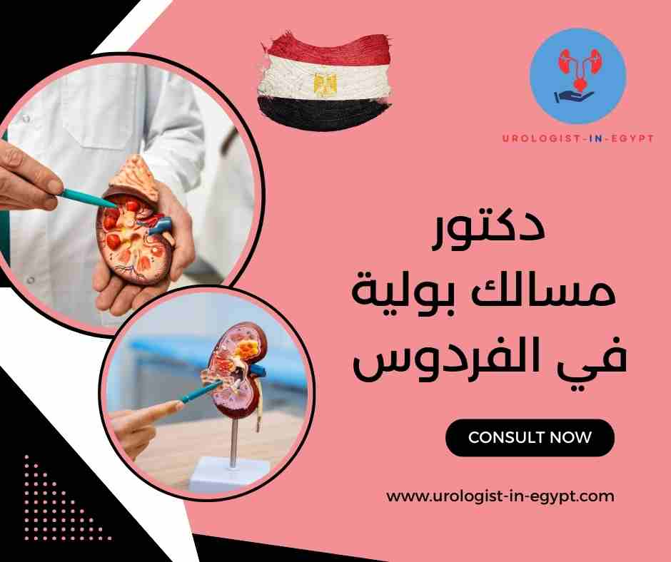 دكتورة مسالك بولية نساء في مدينة الشيخ زايد دكتورة مسالك بولية نساء في مدينة الشيخ زايد