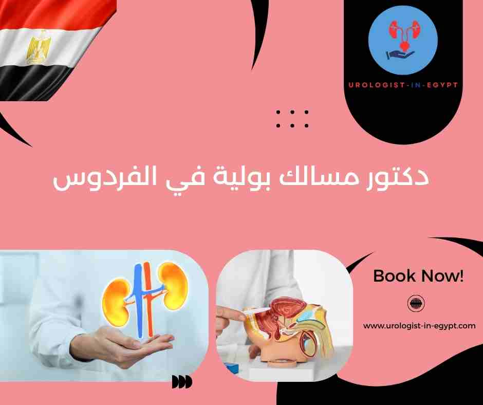 افضل دكتور مسالك بولية في الشيخ زايد افضل دكتور مسالك بولية في الشيخ زايد