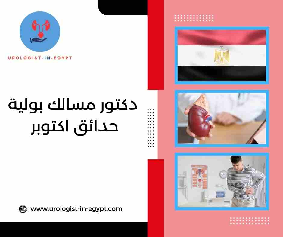 دكتور مسالك بولية حدائق اكتوبر