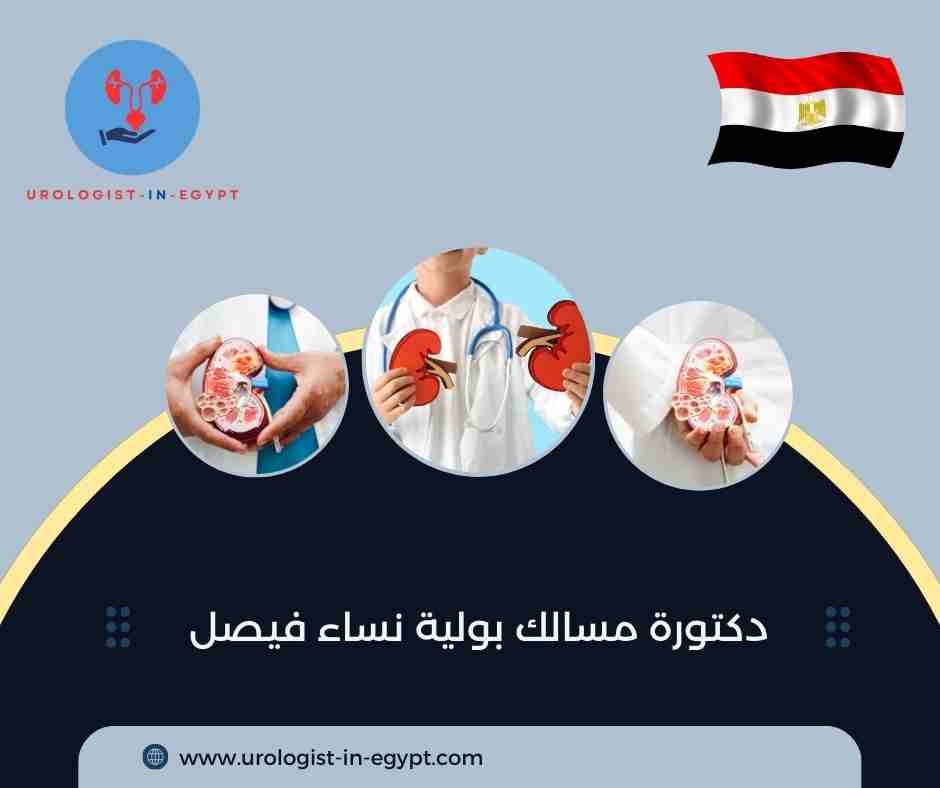 دكتورة مسالك بولية نساء شارع الملك فيصل