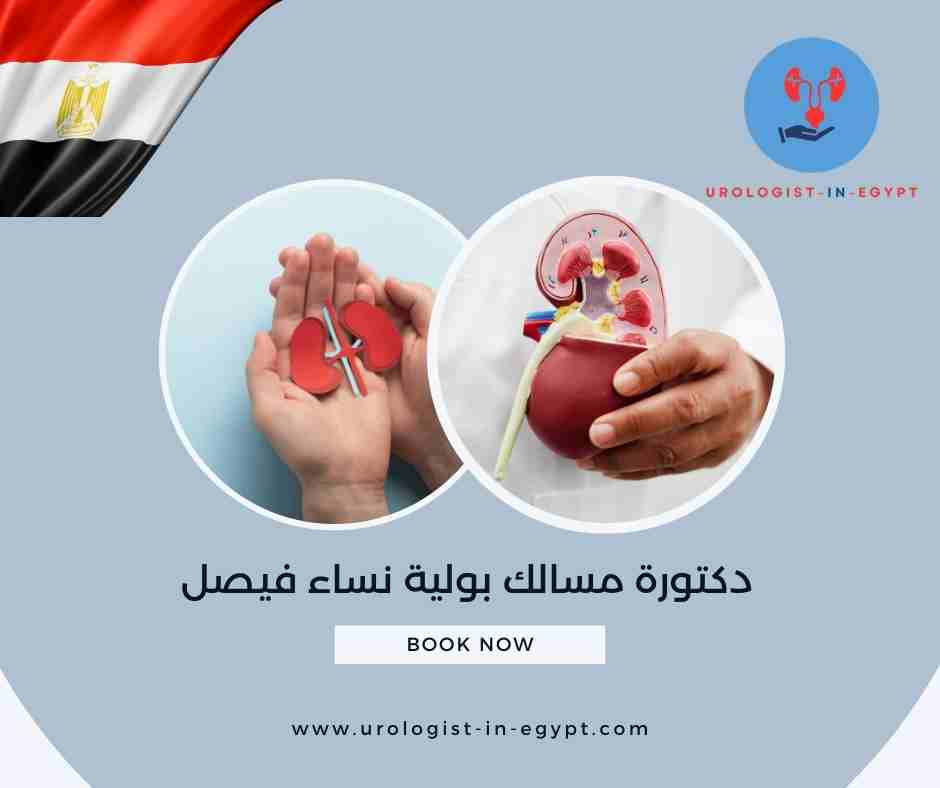 دكتورة مسالك بولية نساء فيصل