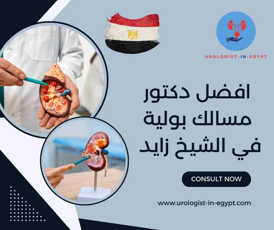 افضل دكتور مسالك بولية في الشيخ زايد