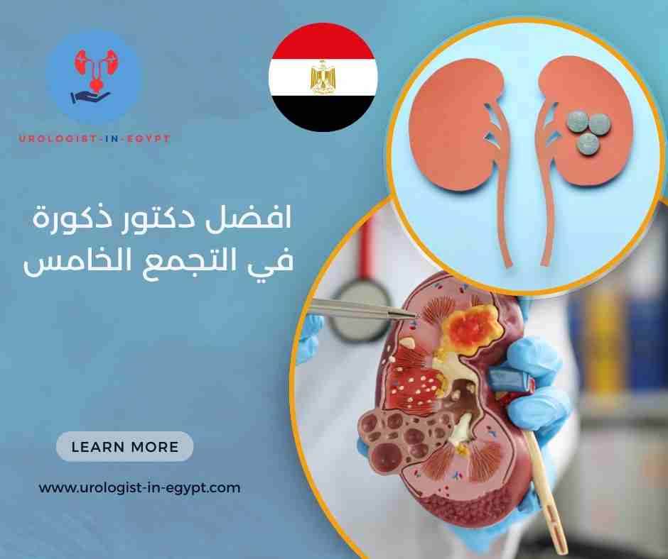 افضل دكتور ذكورة وعقم في القاهرة افضل دكتور ذكورة وعقم في القاهرة