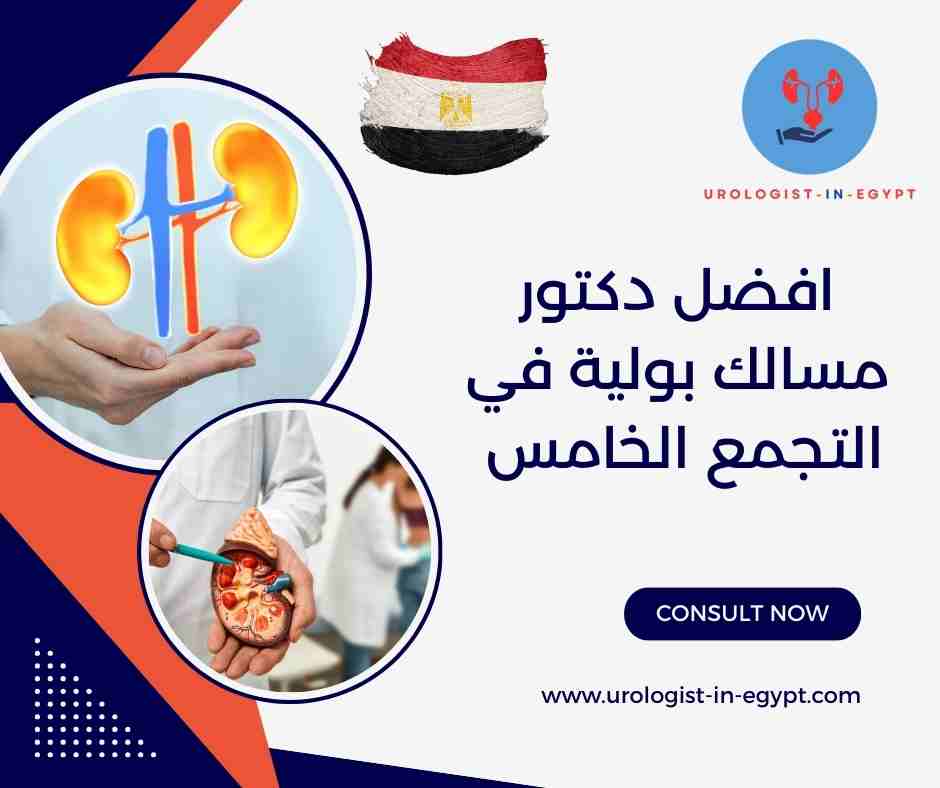 افضل دكتور مسالك بولية في التجمع الخامس