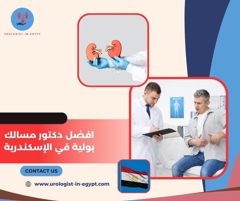 افضل دكتور مسالك بولية في الإسكندرية
