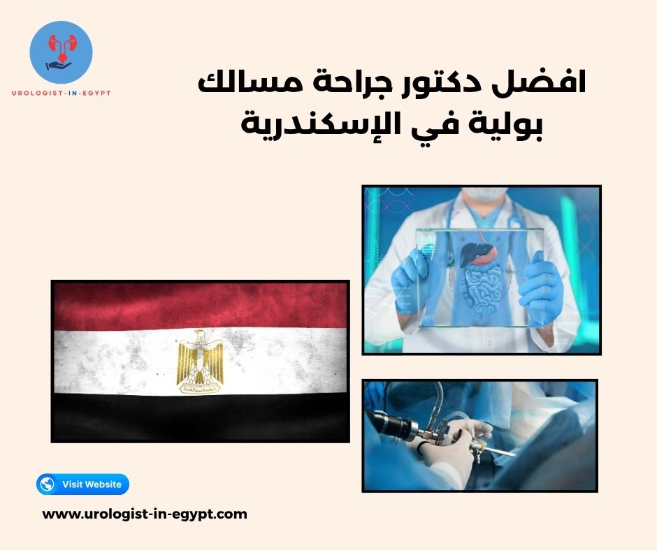 افضل دكتور جراحة مسالك بولية في الإسكندرية افضل دكتور جراحة مسالك بولية في الإسكندرية