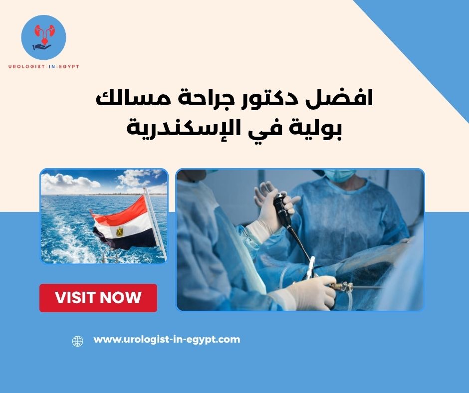 مسالك بولية في الاسكندرية مسالك بولية في الاسكندرية