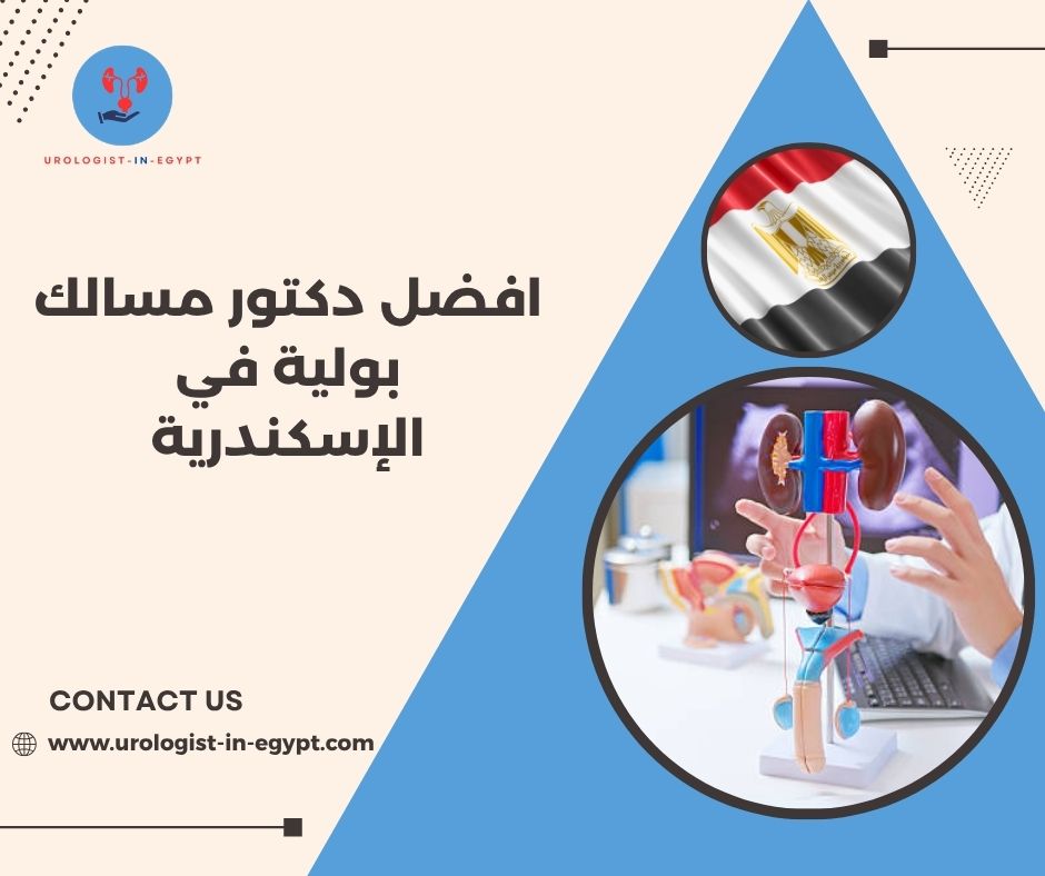 دكتور مسالك بولية اطفال في الإسكندرية دكتور مسالك بولية اطفال في الإسكندرية