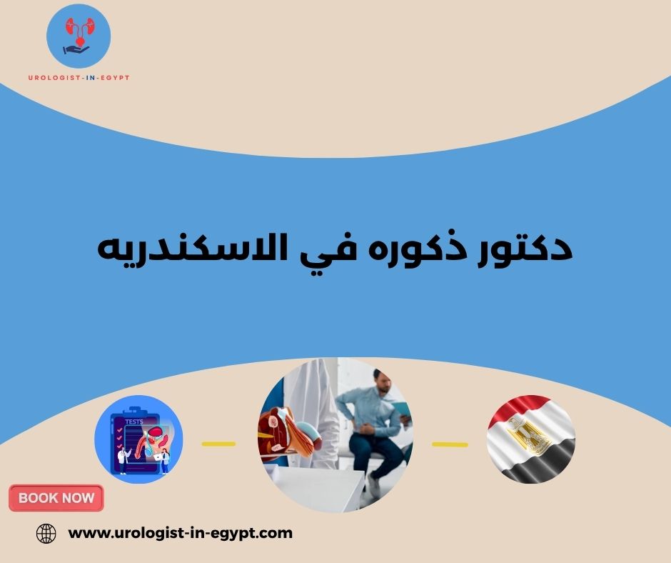 دكتور ذكورة الإسكندرية دكتور ذكورة الإسكندرية