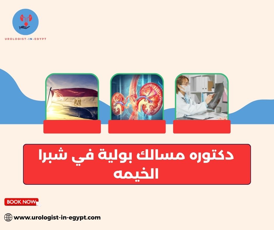 دكتوره مسالك بولية في شبرا الخيمه
