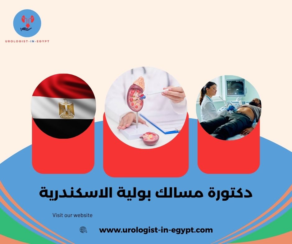 دكتوره مسالك بوليه في الاسماعيليه دكتوره مسالك بوليه في الاسماعيليه