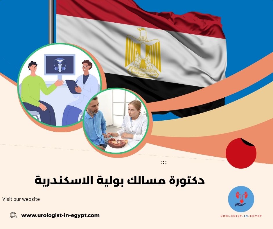 دكتورة مسالك بولية الاسكندرية دكتورة مسالك بولية الاسكندرية