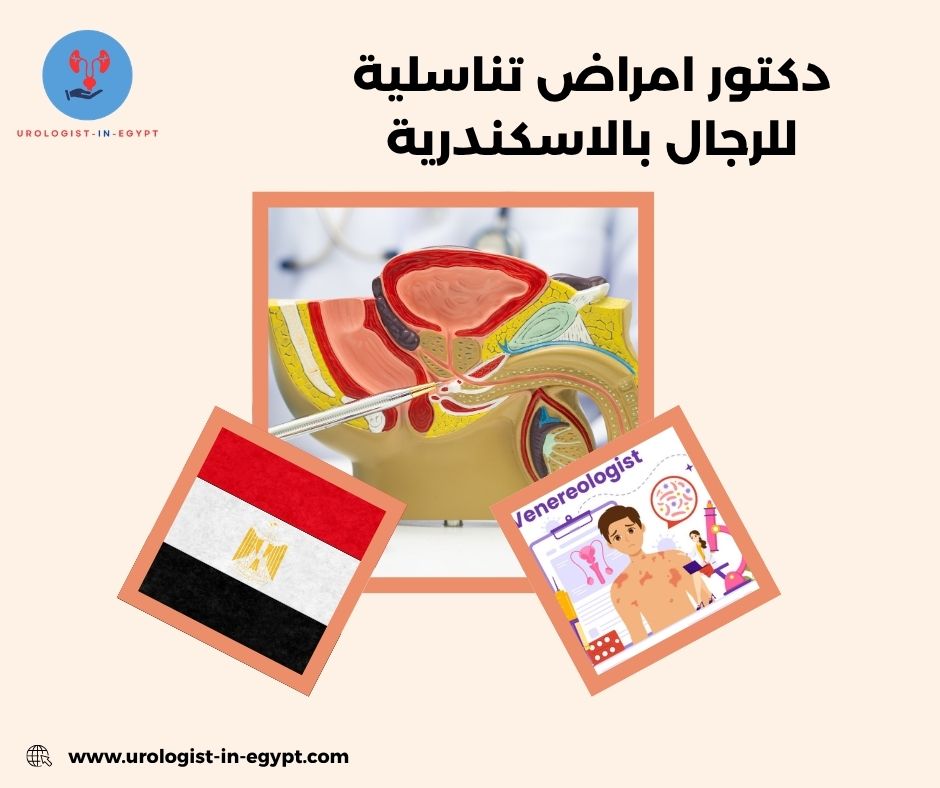 دكتور امراض تناسلية للرجال بالاسكندرية