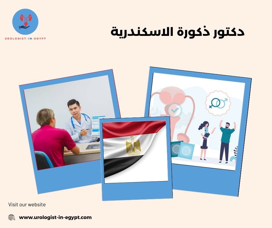 دكتور ذكورة الاسكندرية