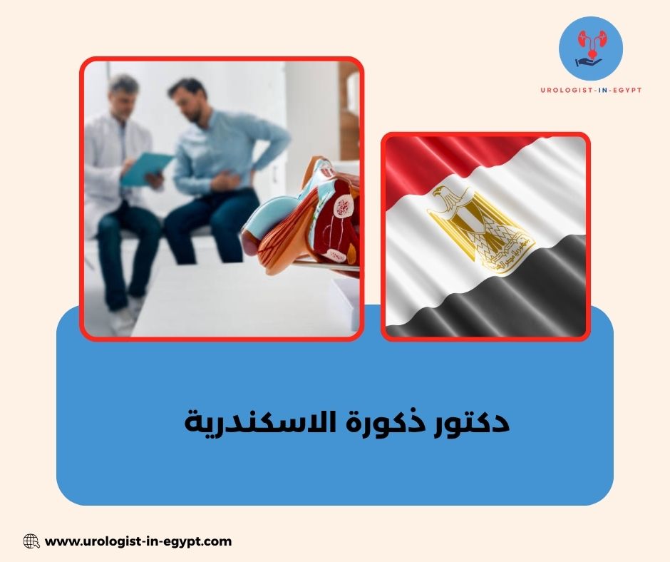 افضل دكتور امراض ذكورة الإسكندرية افضل دكتور امراض ذكورة الإسكندرية