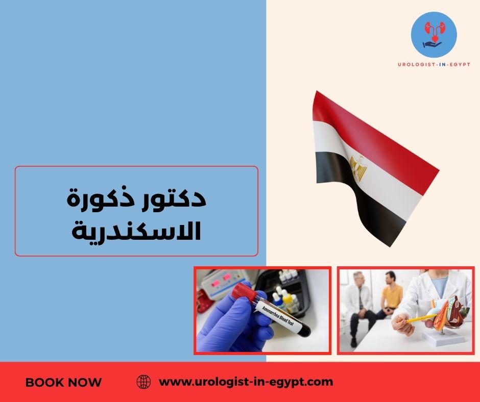 دكتور ذكورة الاسكندرية دكتور ذكورة الاسكندرية
