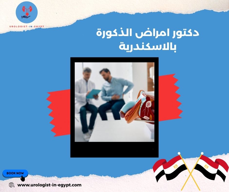 دكتور امرض الذكوره في الاسكندريه