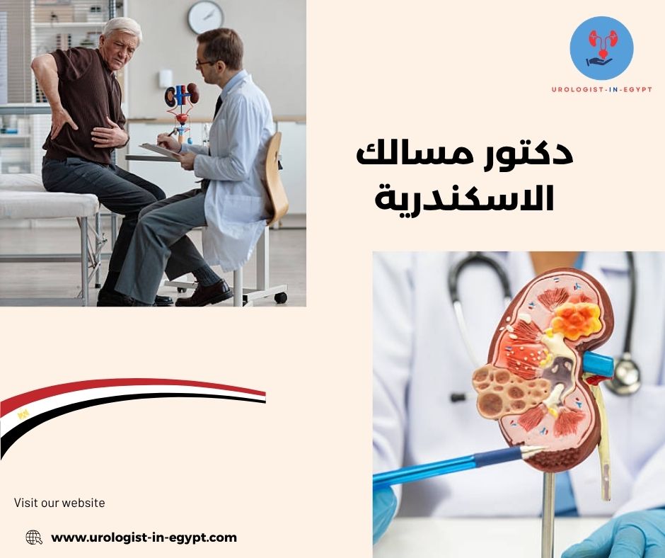 دكتور مسالك بولية الاسكندرية محطة الرمل مفتوح الآن دكتور مسالك بولية الاسكندرية محطة الرمل مفتوح الآن