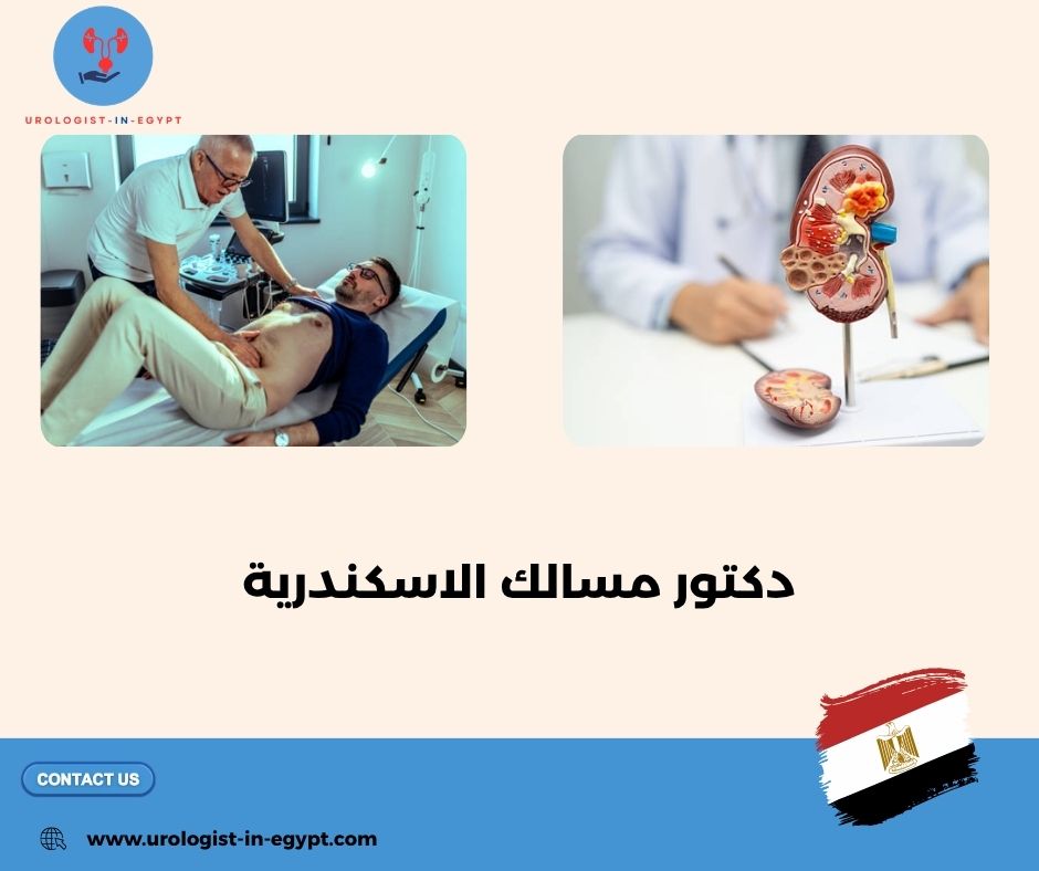 دكتور مسالك في الاسكندرية دكتور مسالك في الاسكندرية