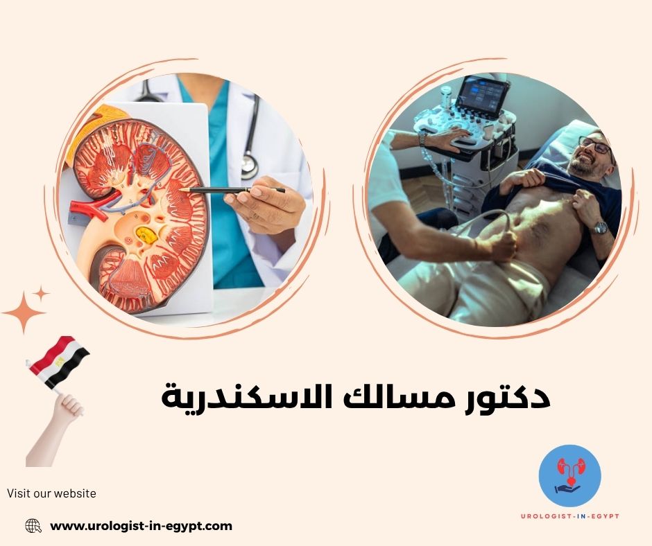 دكتور مسالك بولية الاسكندرية محطة الرمل دكتور مسالك بولية الاسكندرية محطة الرمل