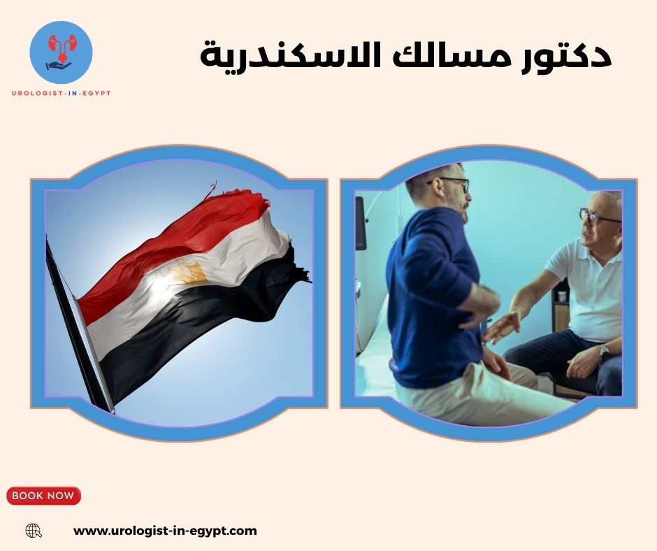 دكتور مسالك الاسكندرية دكتور مسالك الاسكندرية
