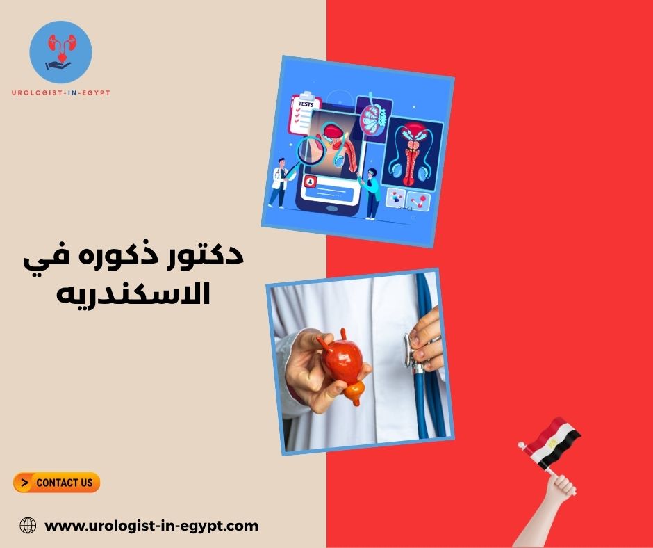 دكتور امراض ذكورة في الاسكندرية دكتور امراض ذكورة في الاسكندرية