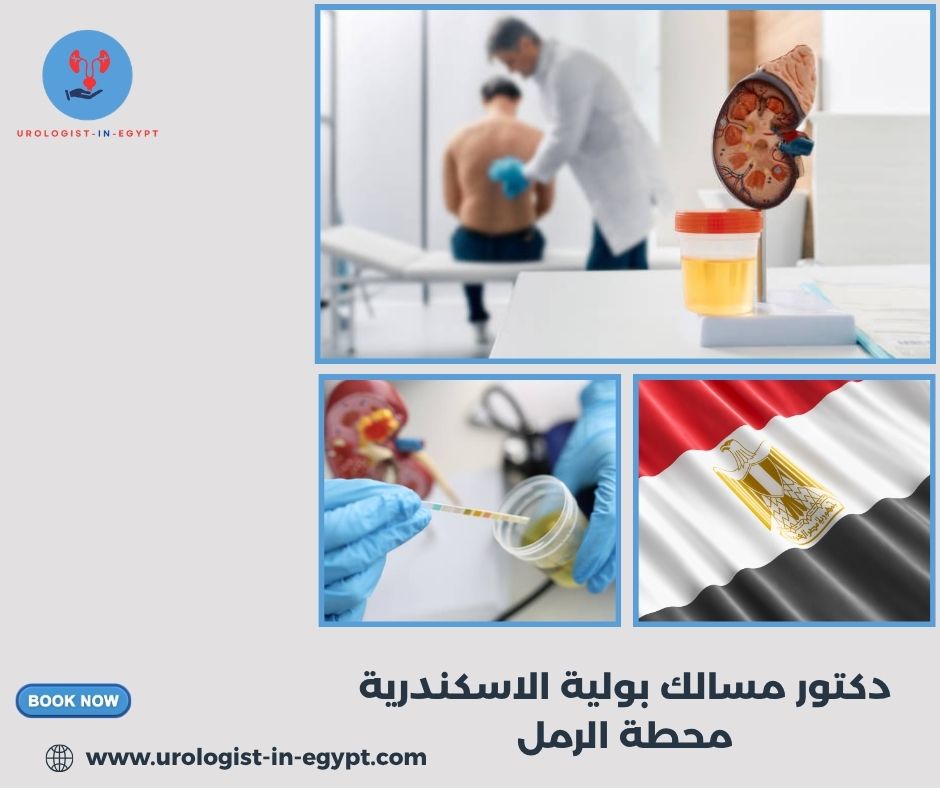 دكتور مسالك بولية اطفال الاسكندرية محطة الرمل دكتور مسالك بولية اطفال الاسكندرية محطة الرمل