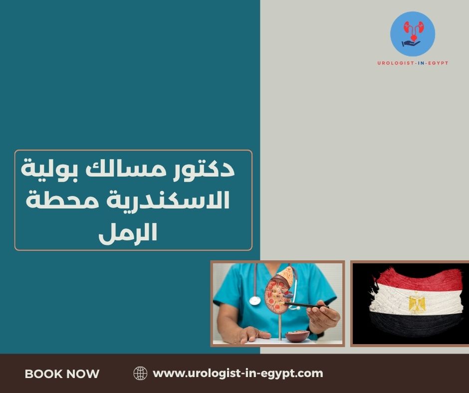 دكتور مسالك بولية الاسكندرية محطة الرمل دكتور مسالك بولية الاسكندرية محطة الرمل