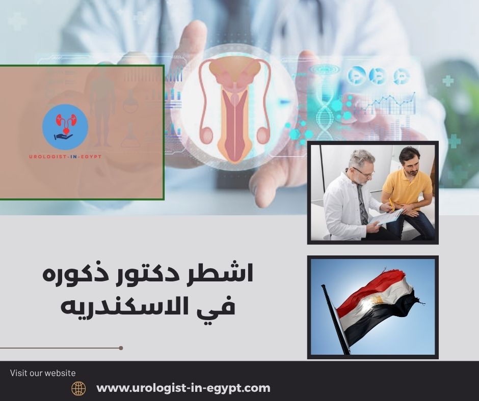 دكتور ذكورة الاسكندرية دكتور ذكورة الاسكندرية