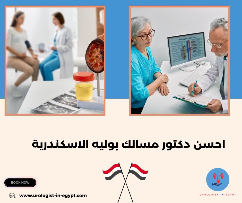 دكتور مسالك بولية الاسكندرية محطة الرمل مفتوح الآن دكتور مسالك بولية الاسكندرية محطة الرمل مفتوح الآن