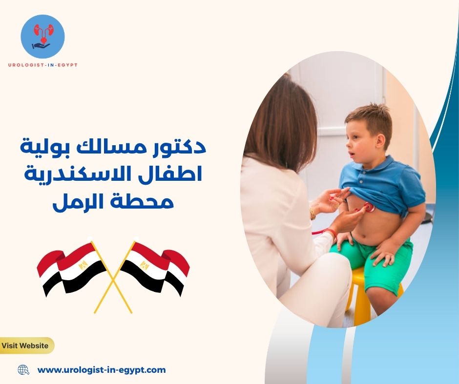 افضل دكتور مسالك بولية في الإسكندرية