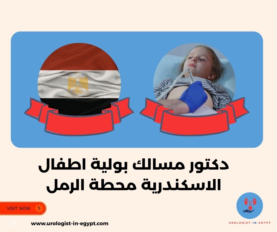 دكتور مسالك بولية الاسكندرية محطة الرمل