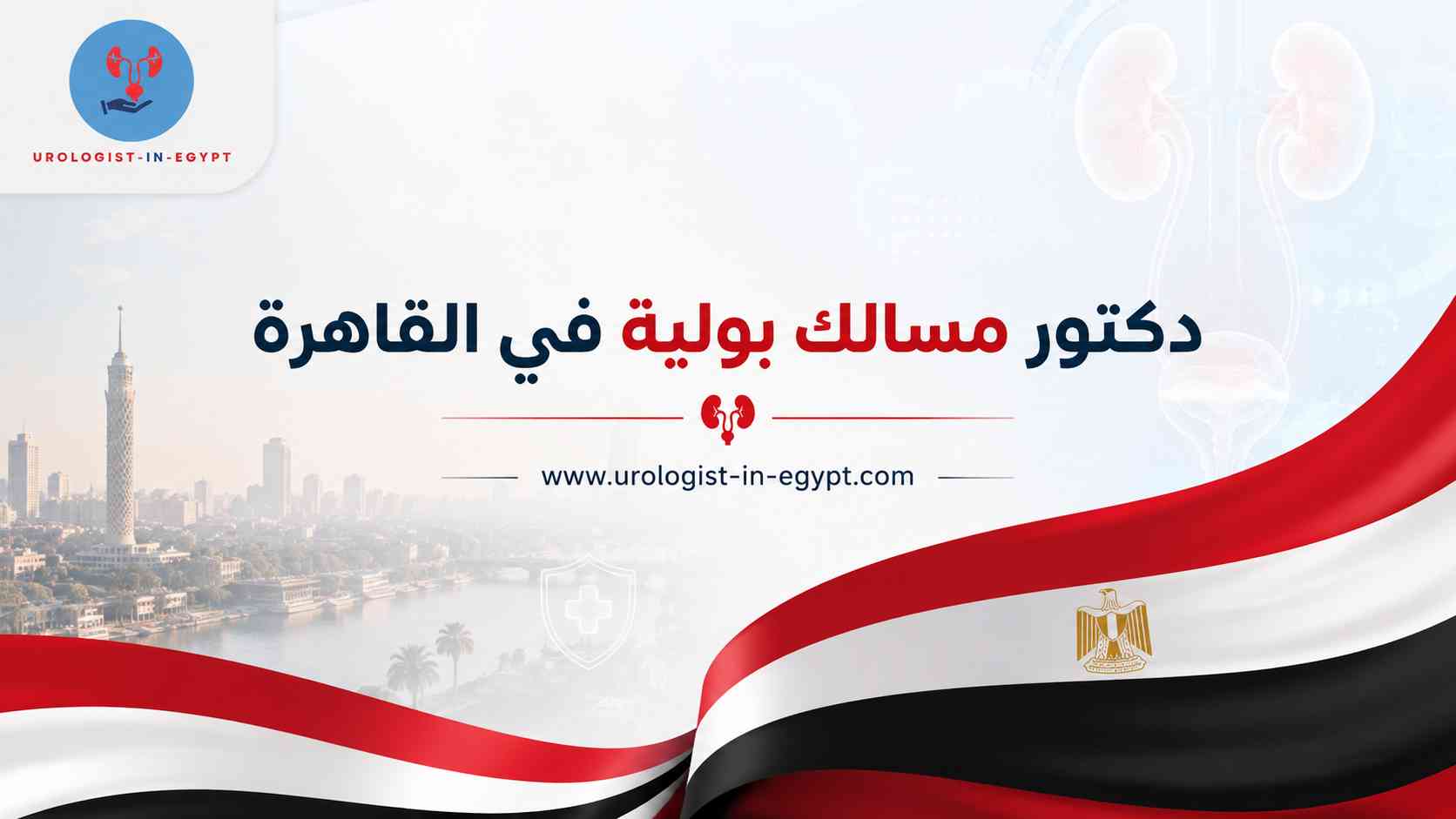 دكتور مسالك بولية في القاهرة