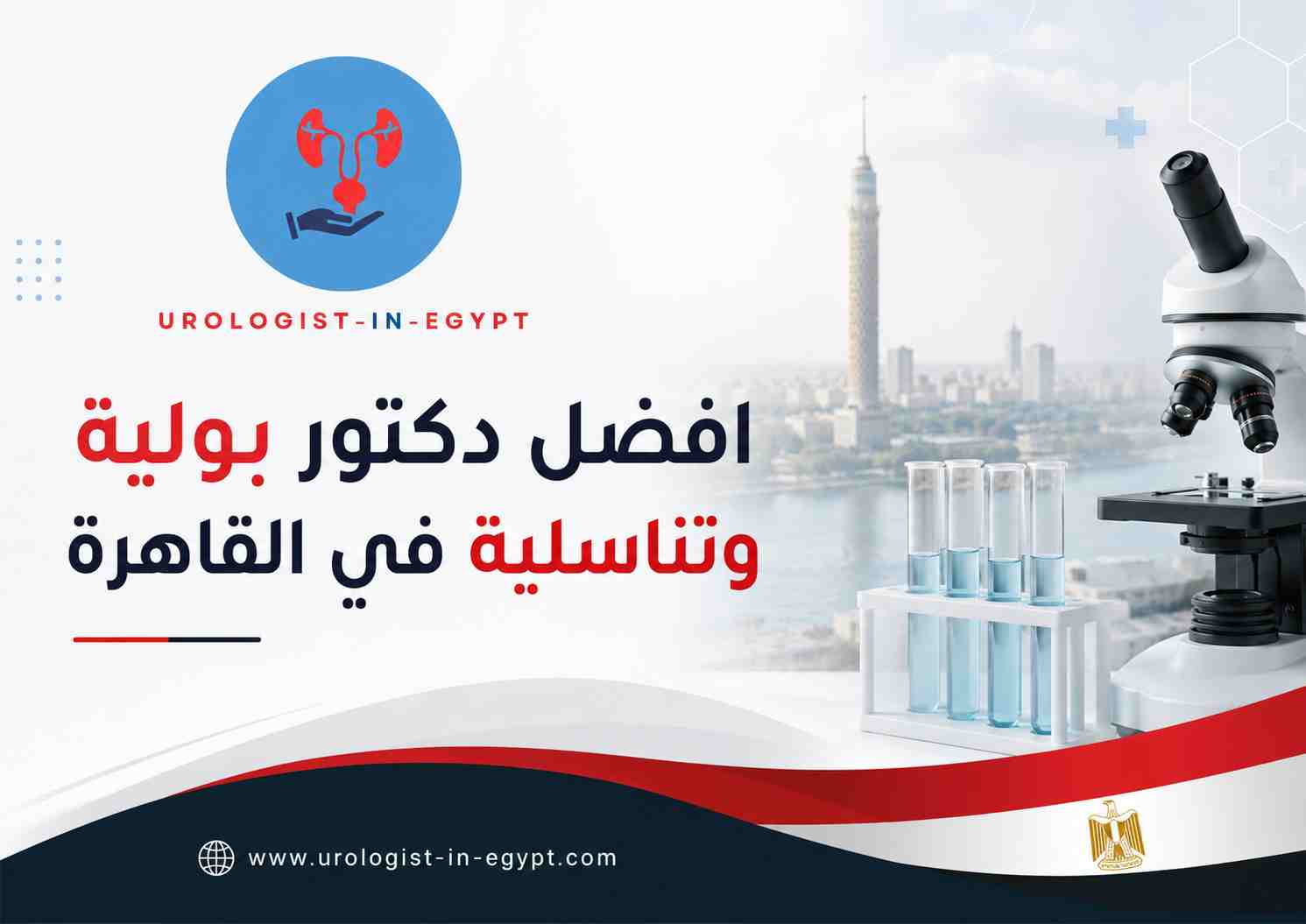 معايير اختيار افضل دكتور بولية وتناسلية في القاهرة