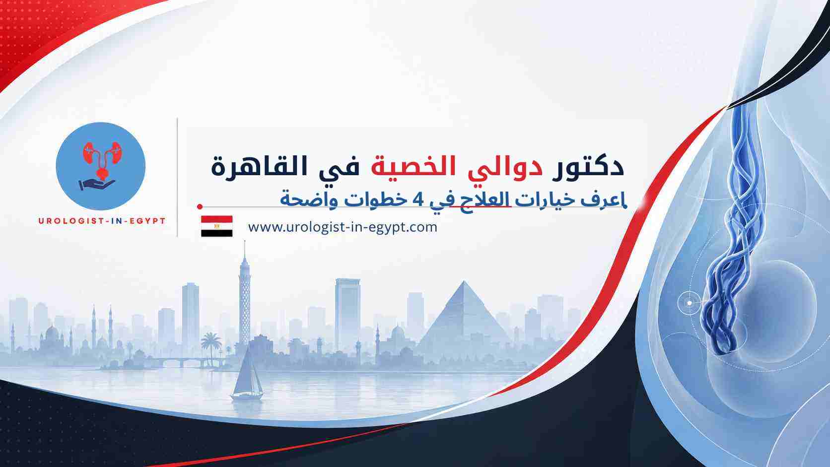 دكتور دوالي الخصية في القاهرة